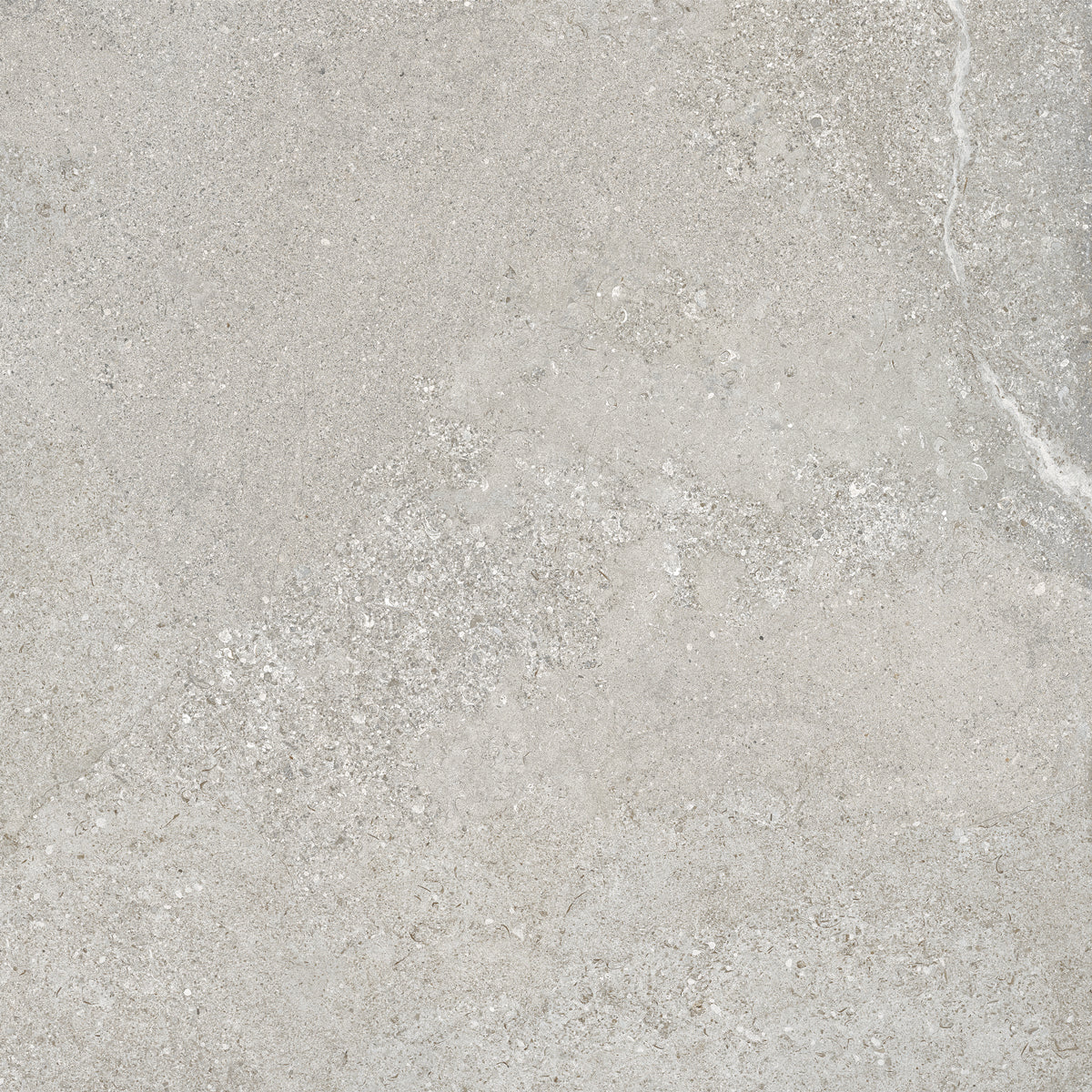 Gulvflis Arenite Kalksten Grey Matt 60x60