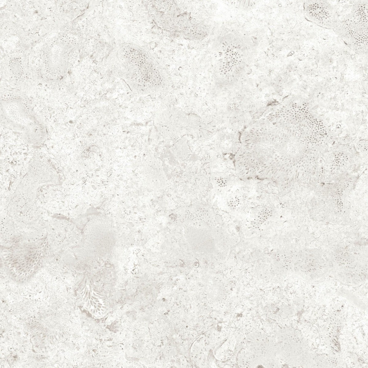 Gulvflis Coralina Perla Matt 60x60