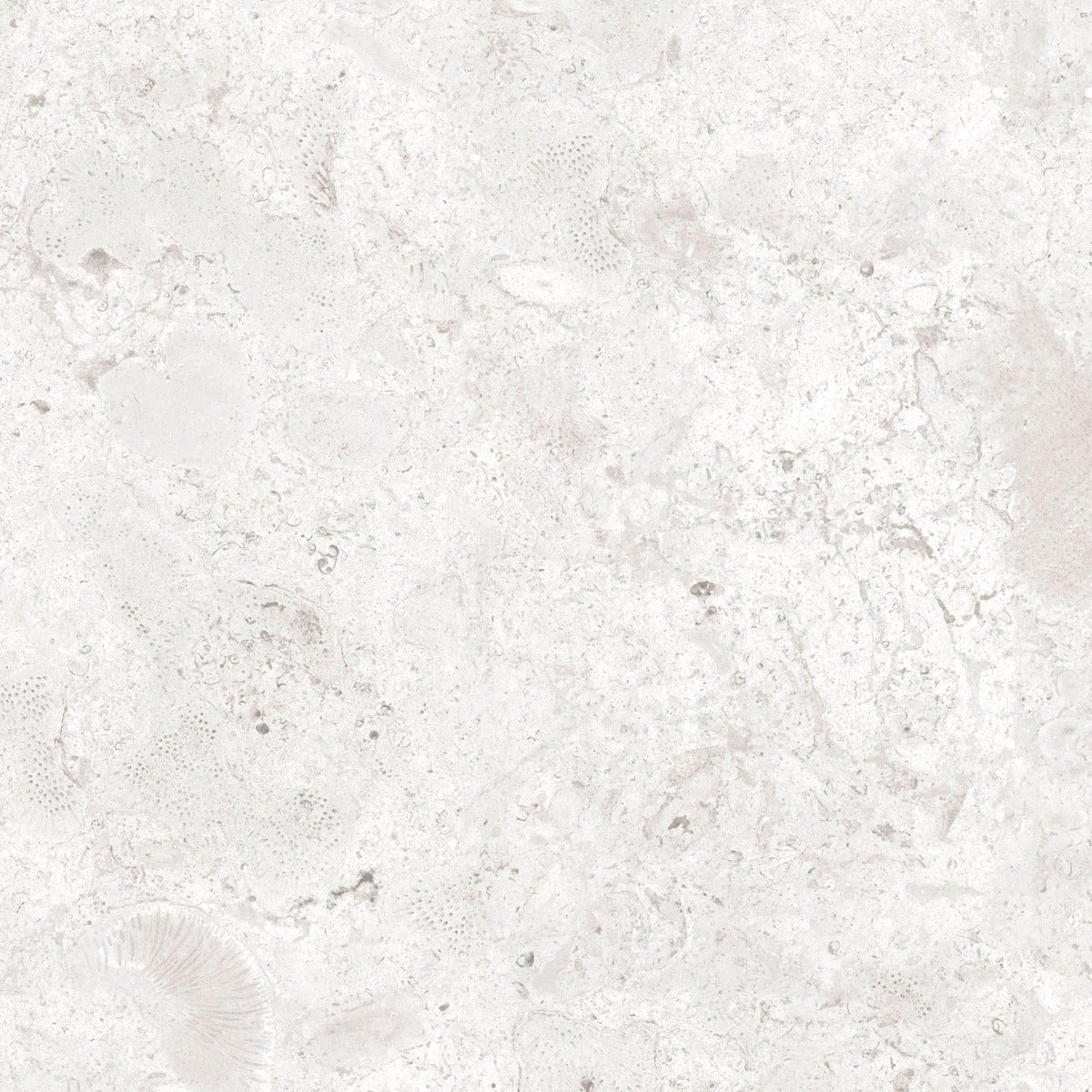 Gulvflis Coralina Perla Matt 60x60