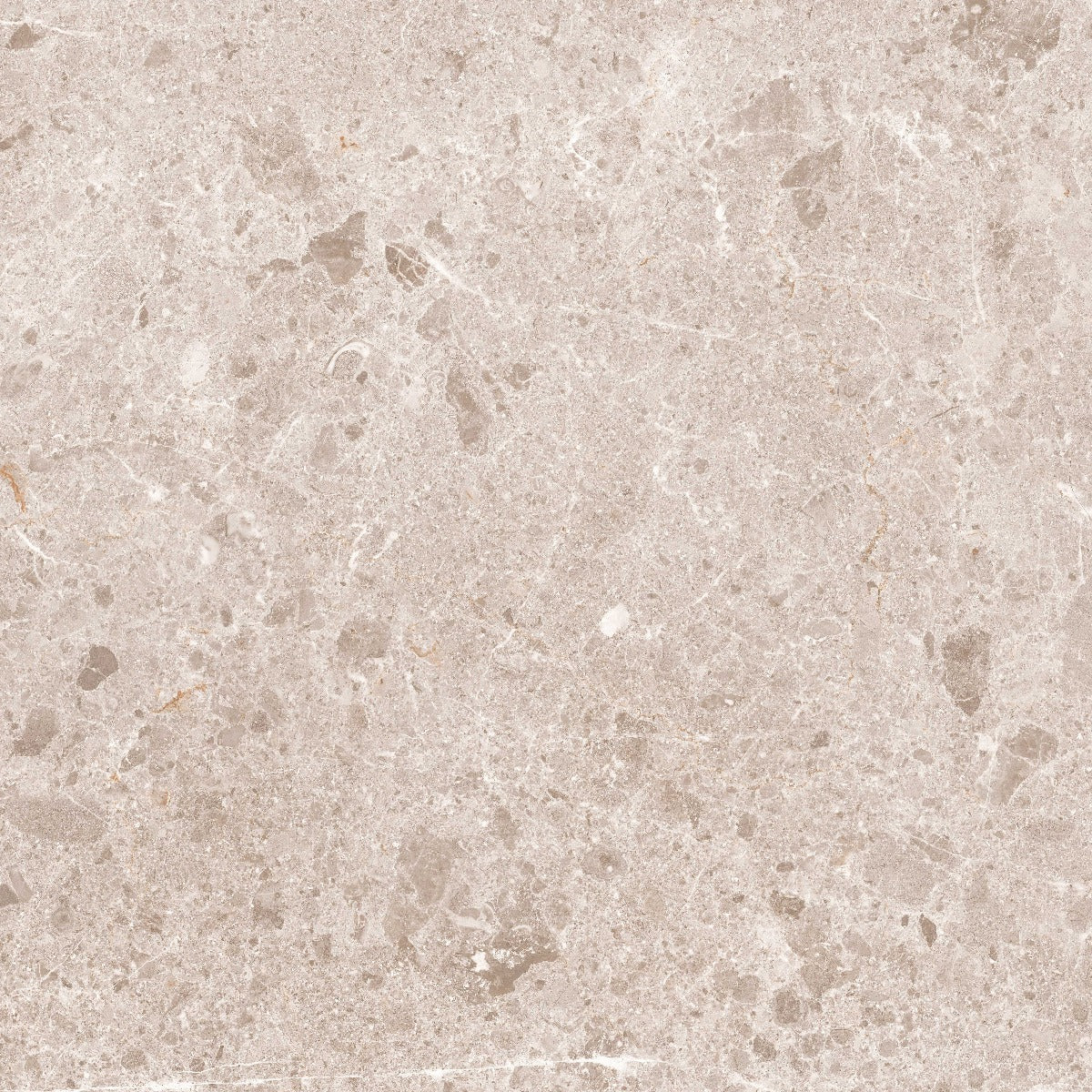 Gulvflis Artic Beige Marmor Blank 59x59