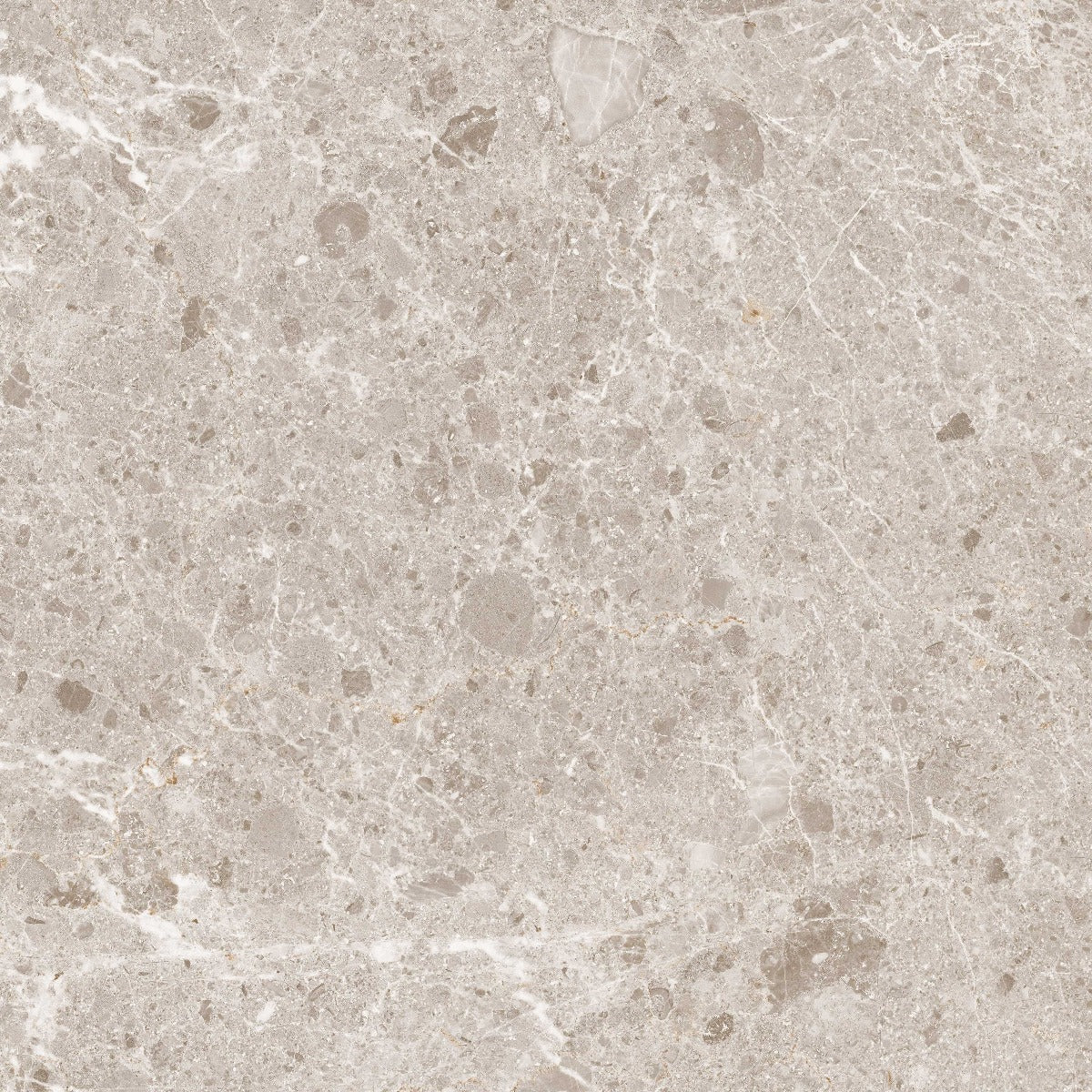 Gulvflis Artic Beige Marmor Blank 59x59