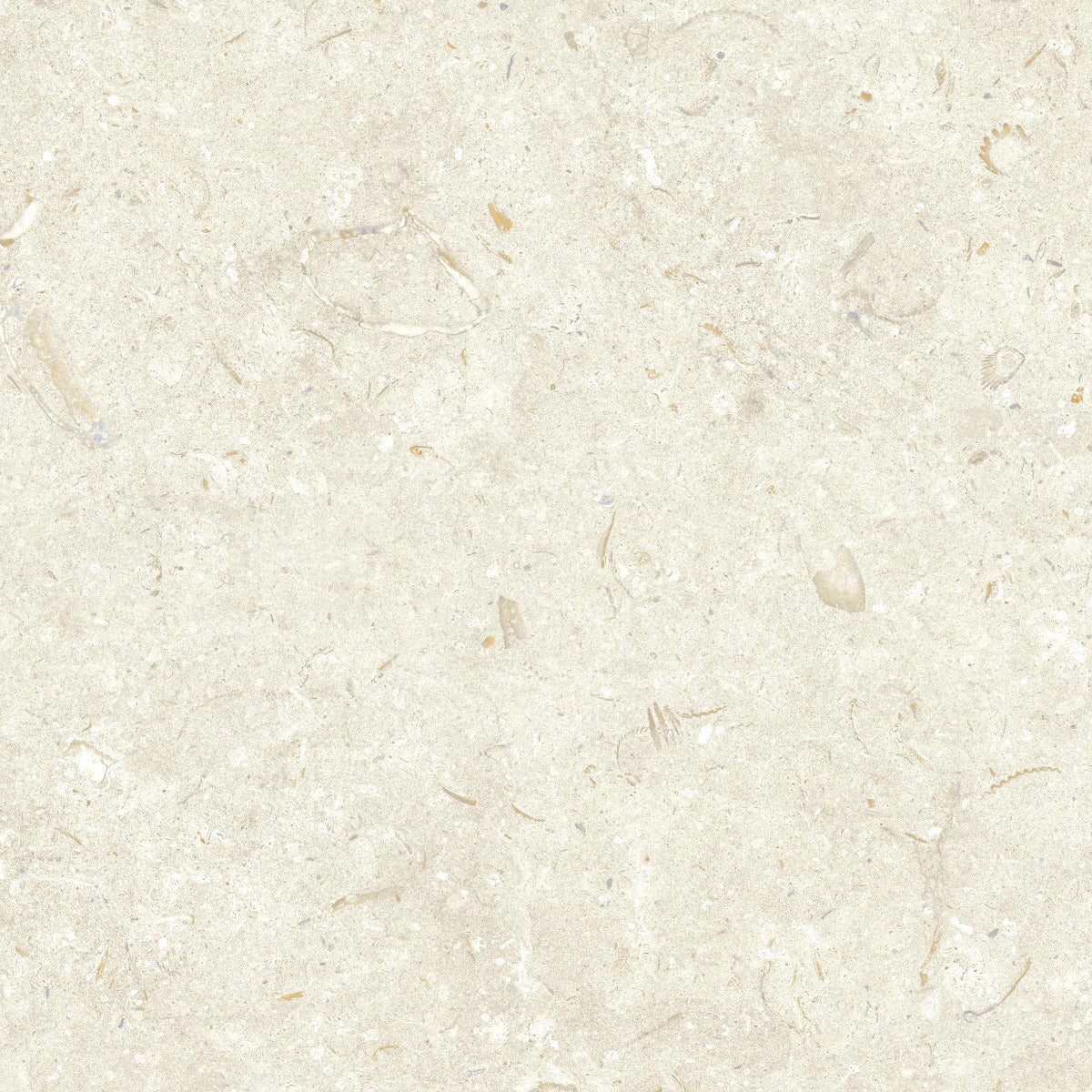 Gulvflis Gotlandssten Kalksten Bone 60x60