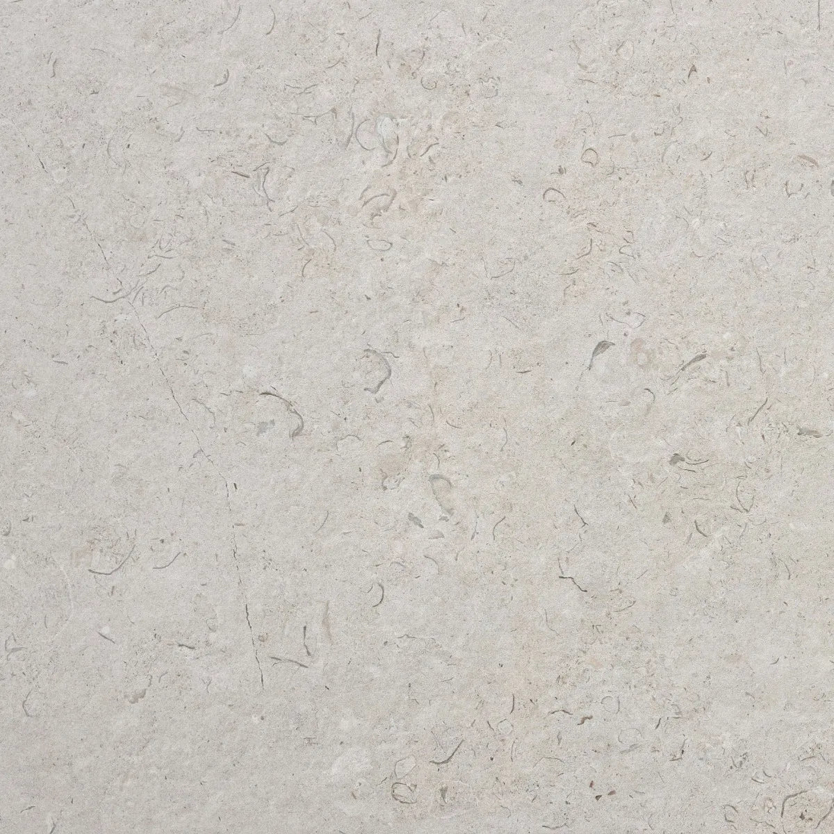 Gulvflis Kalksten Norr Pearl Matt 60x60
