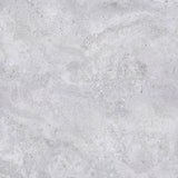Gulvflis Petra Grey Marmor Matt 120x120
