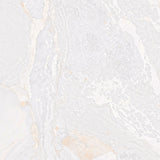 Gulvflis Planet White Metal Shine 120x120