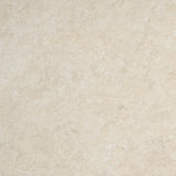 Gulvflis Premiere Natural Matt 60x60