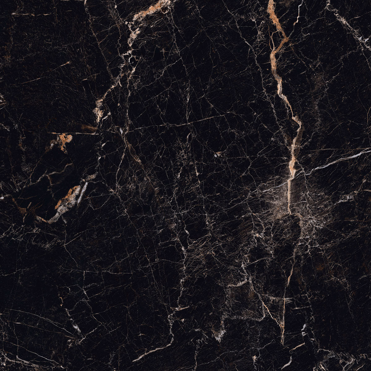 Gulvflis Windsor Black Marmor Blank 120x120