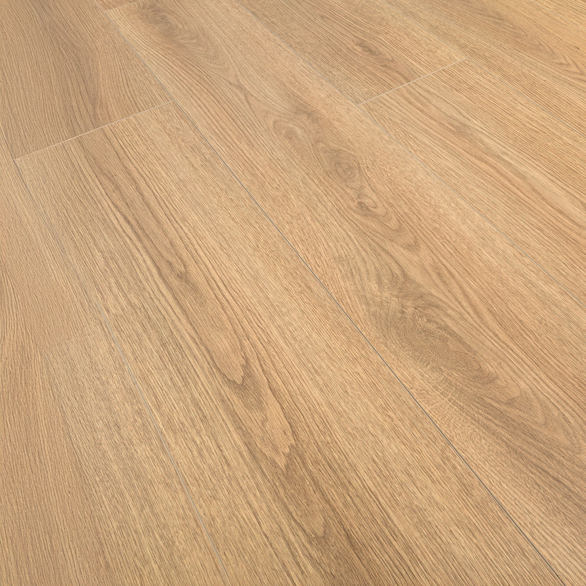 Laminatgulv Oak Sienna 8 mm, 1-stav