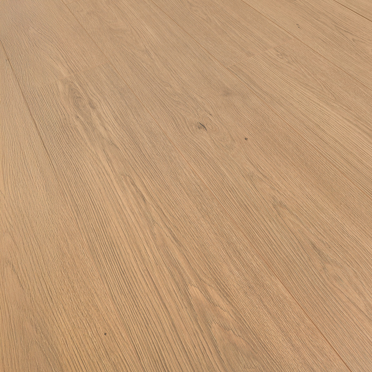 Laminatgulv Oak Toffee 8 mm, 1-stav