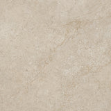Gulvflis Arenite Kalksten Natural Matt 100x100