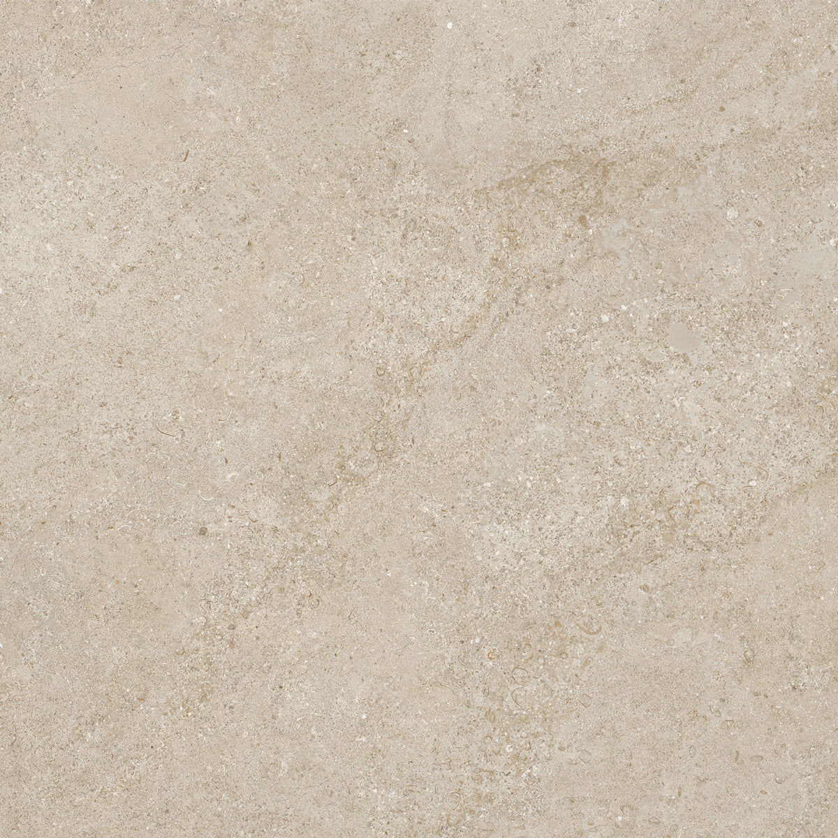 Gulvflis Arenite Kalksten Natural Matt 60x60