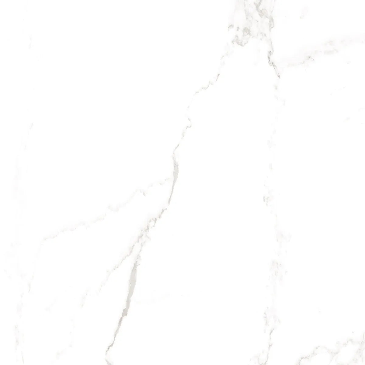 Gulvflis Carrara Marmor Blank 60x60