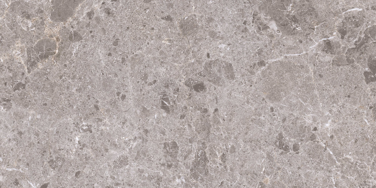 Gulvflis Artic Gris Marmor Blank 59x119