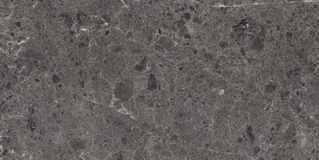 Gulvflis Artic Antracita Marmor Matt 60x120