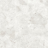 Gulvflis Coralina Perla Matt 60x60