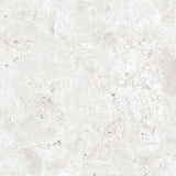 Gulvflis Coralina Perla Matt 60x60