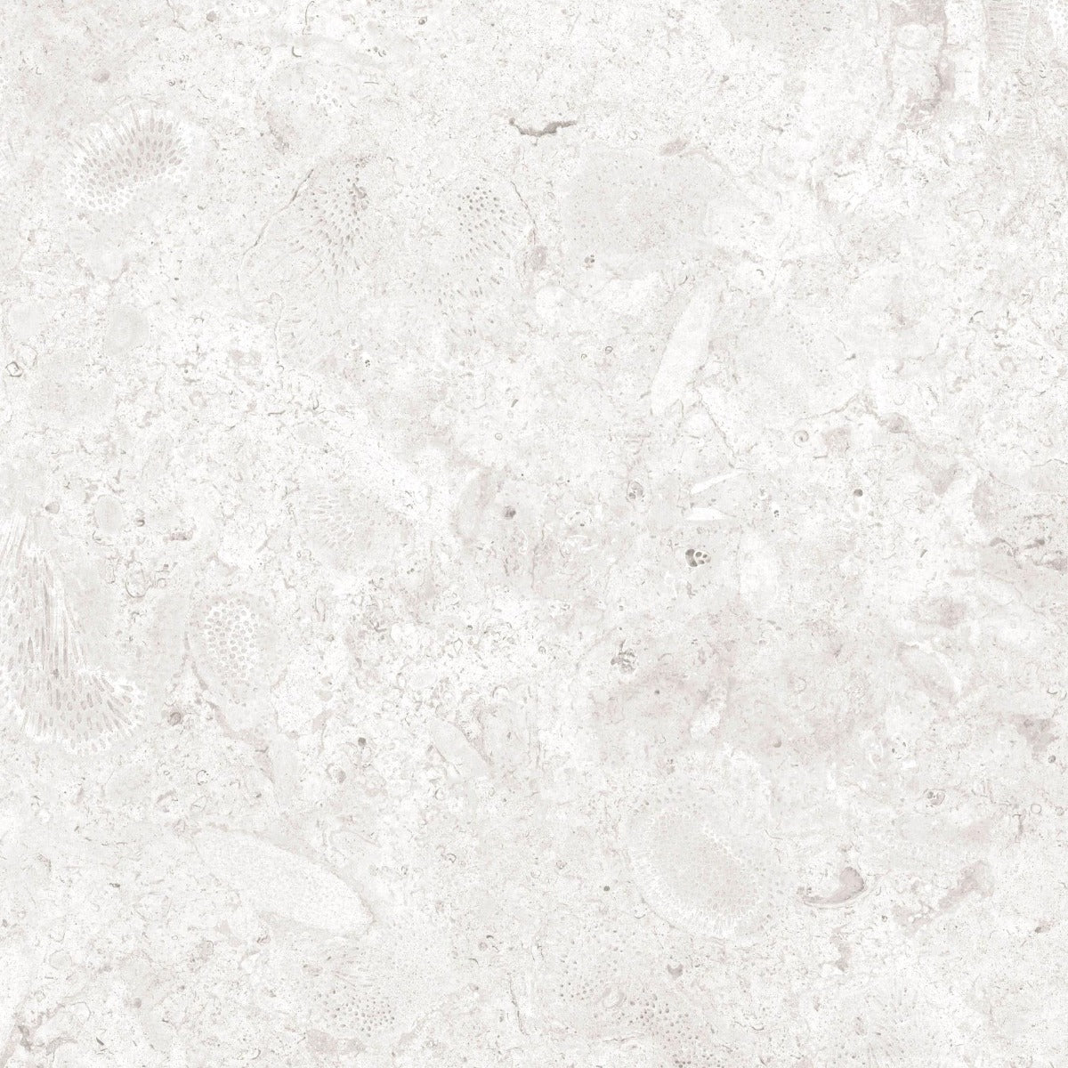Gulvflis Coralina Perla Matt 60x60