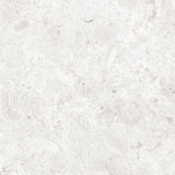 Gulvflis Coralina Perla Matt 60x60
