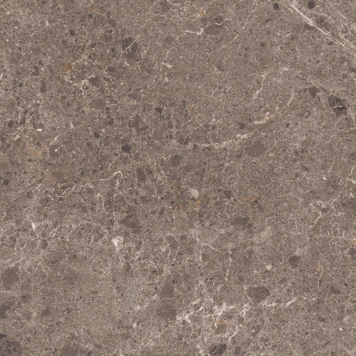 Gulvflis Artic Moka Marmor Blank 59x59