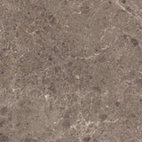 Gulvflis Artic Moka Marmor Blank 59x59