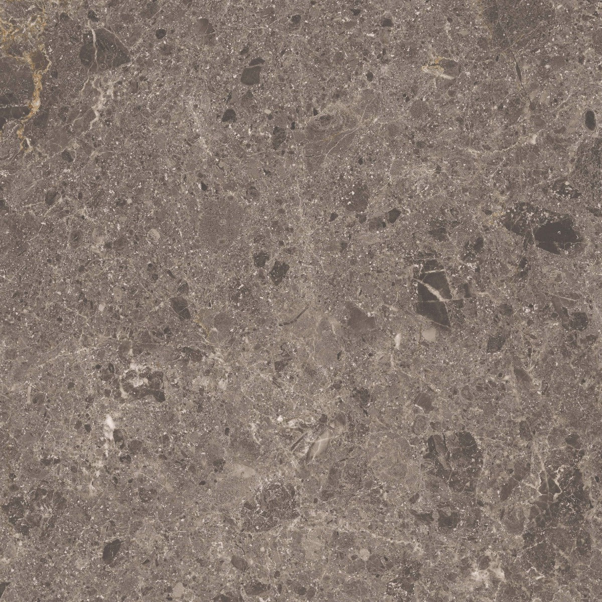 Gulvflis Artic Moka Marmor Blank 59x59