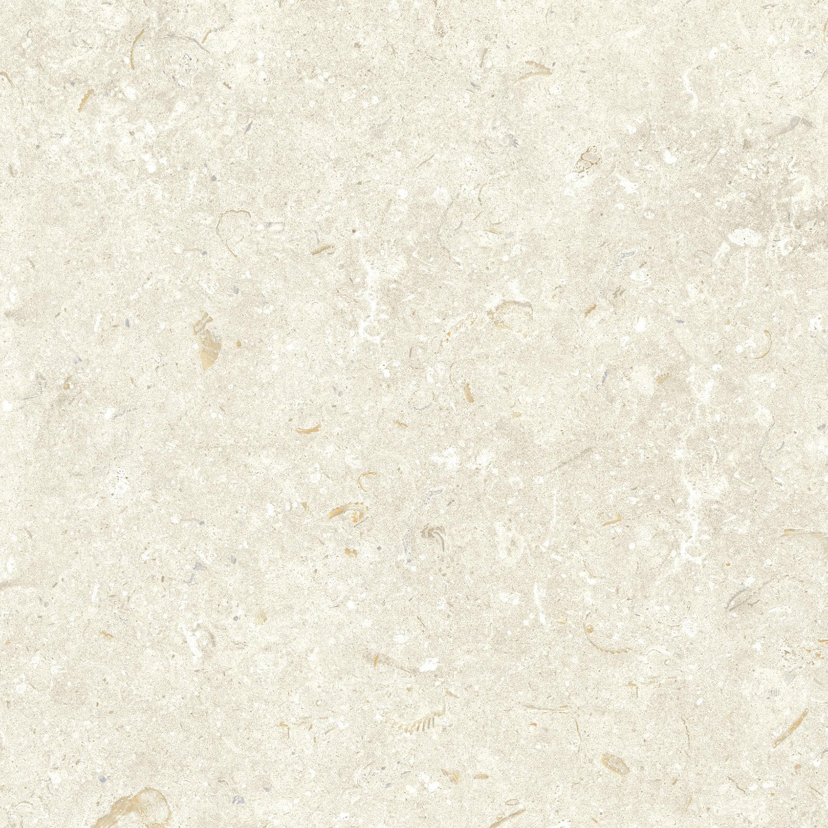 Gulvflis Gotlandssten Kalksten Bone 60x60