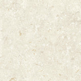 Gulvflis Gotlandssten Kalksten Bone 60x60