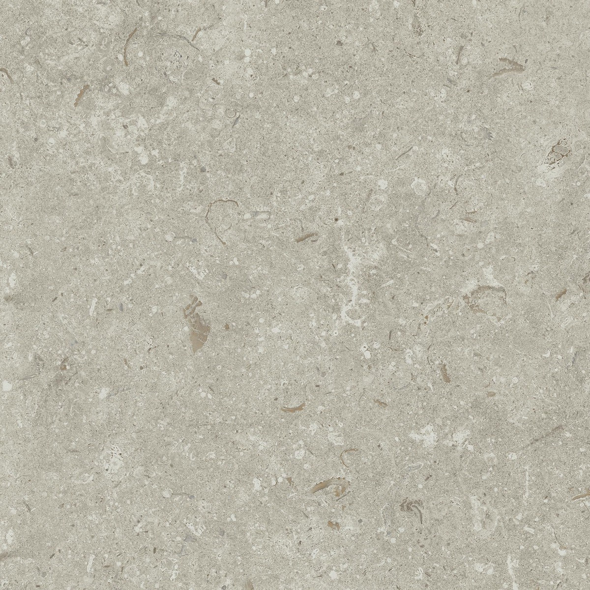 Gulvflis Gotlandssten Kalksten Gris 60x60