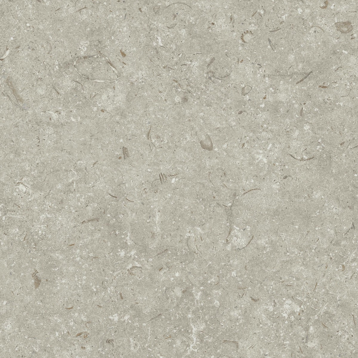 Gulvflis Gotlandssten Kalksten Gris 60x60