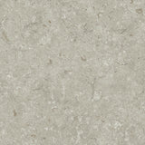 Gulvflis Gotlandssten Kalksten Gris 60x60
