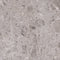 Swatch för Gulvflis Artic Gris Marmor Matt 60x60