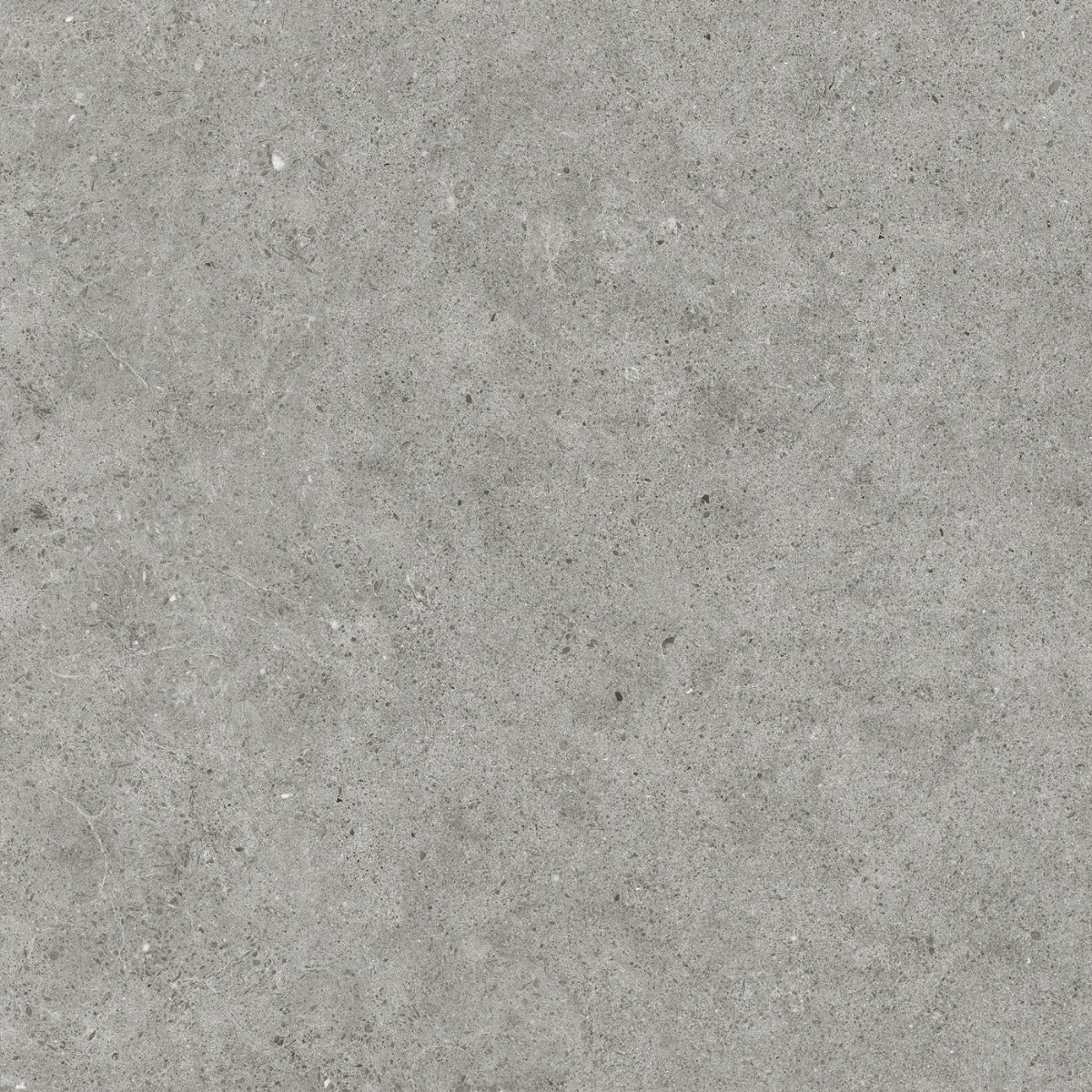 Gulvflis Atrio SM Grey Matt 60x60