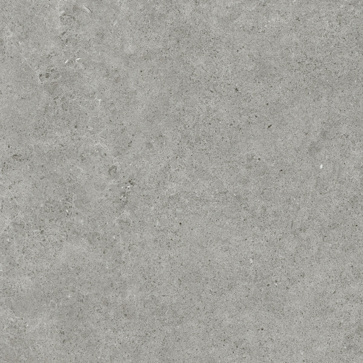Gulvflis Atrio SM Grey Matt 60x60