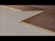 Laminatgulv Oak Camel 8 mm, 1-stav