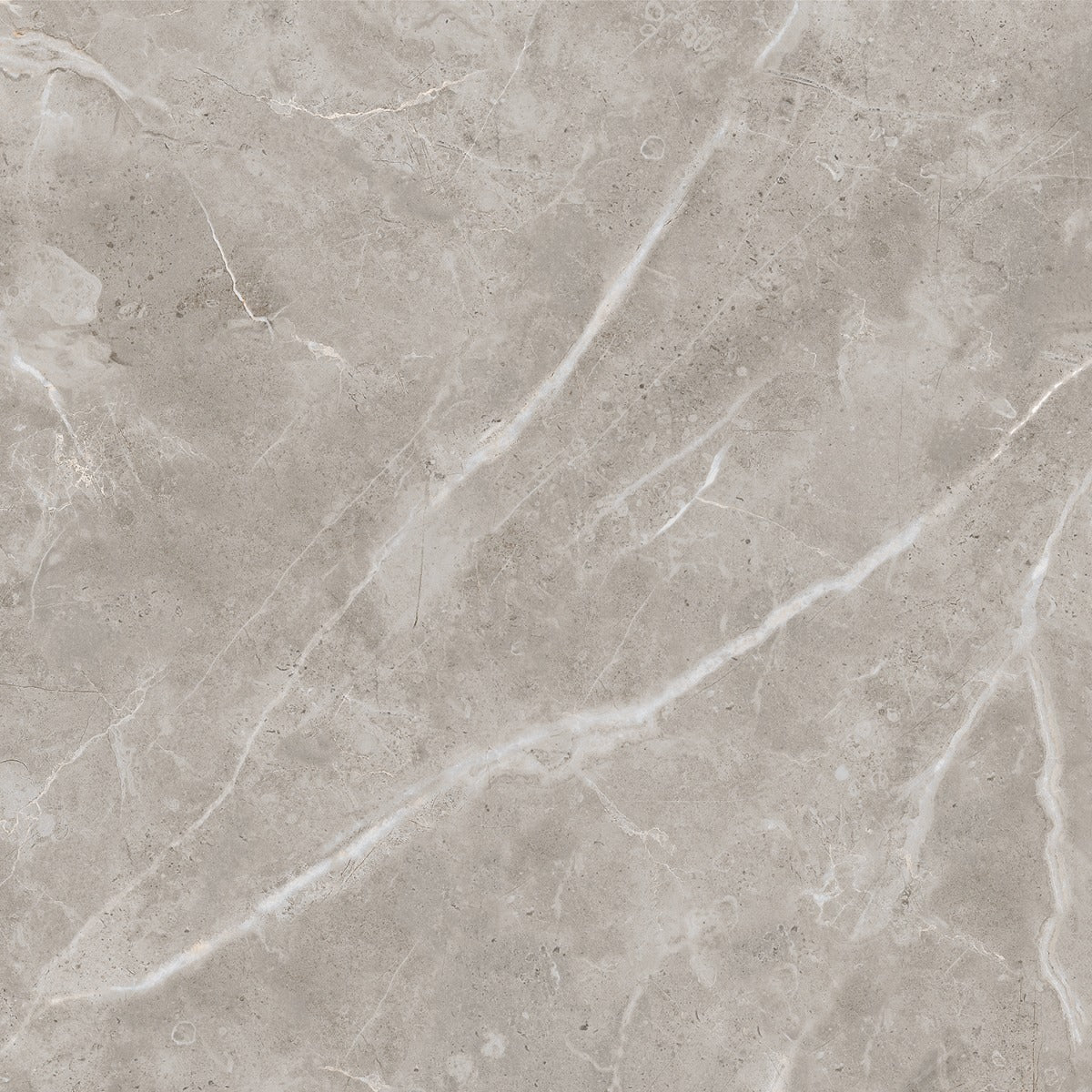 Gulvflis Pulpis Mid Grey Marmor Blank 60x60