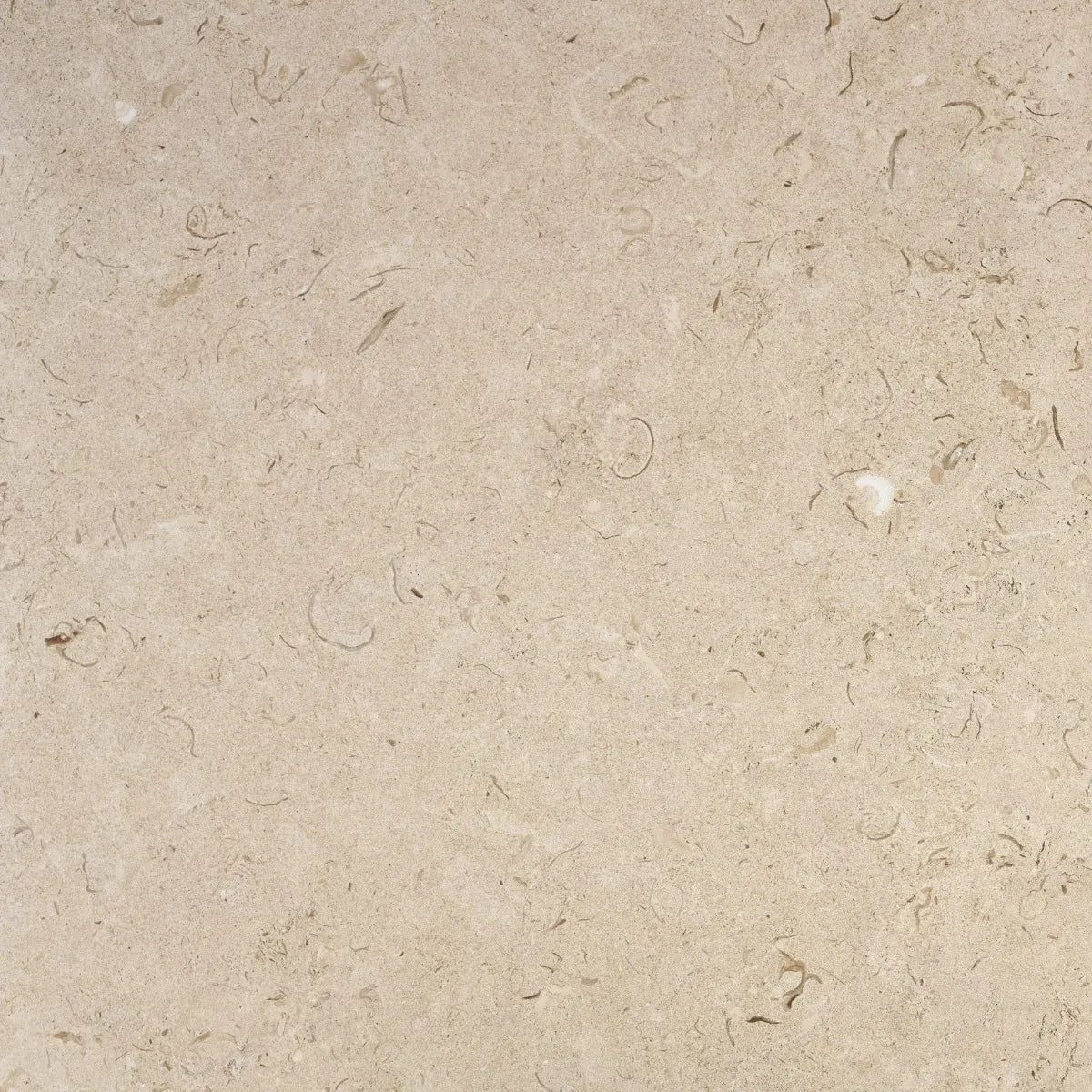 Gulvflis Kalksten Norr Beige Matt 60x60