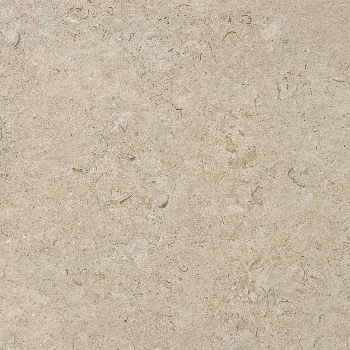 Gulvflis Kalksten Norr Natural Matt 60x60