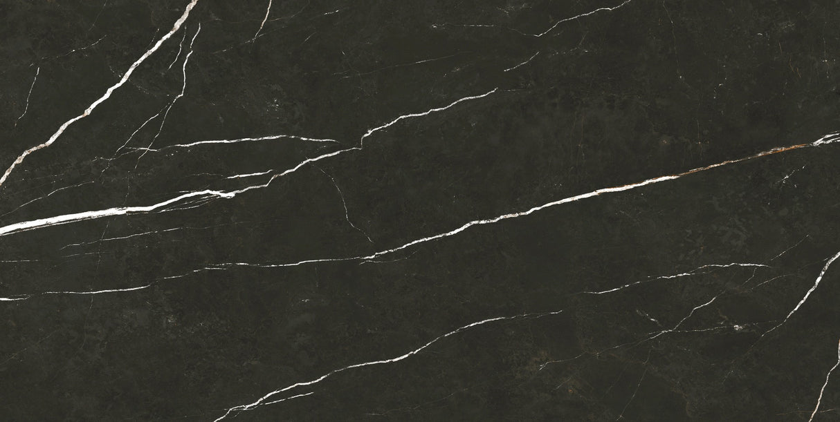 Gulvflis Elite Black Marmor Blank 60x120