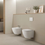 Vegghengt toalett Tenfors Sanitario Plus Hvit Blank