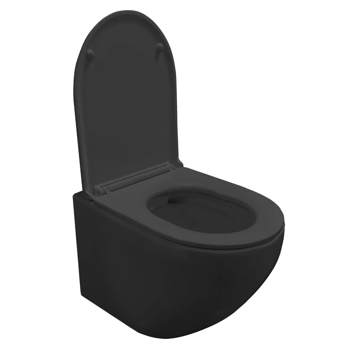 Vegghengt toalett Tenfors Sanitario Svart Matt